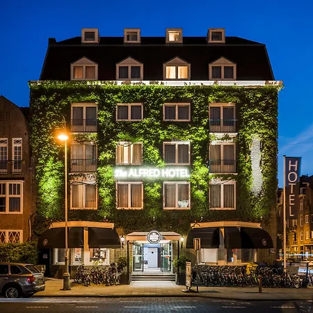 The Alfred 3*