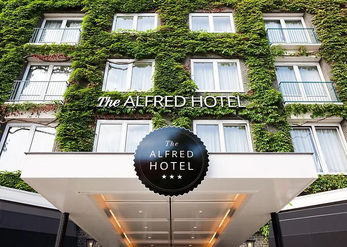 The Alfred