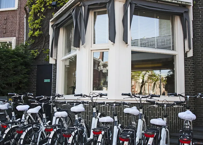 The Alfred אמסטרדם